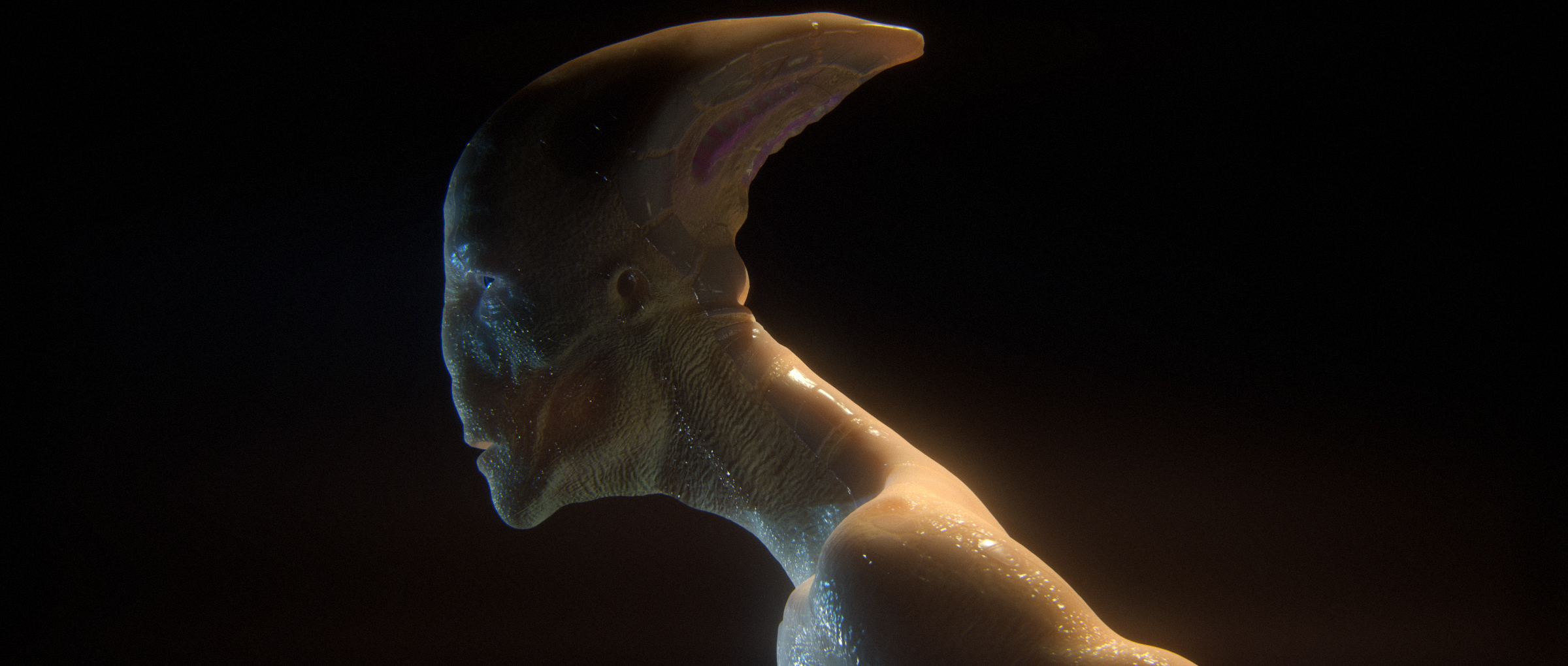 oko-graphics okofx animation